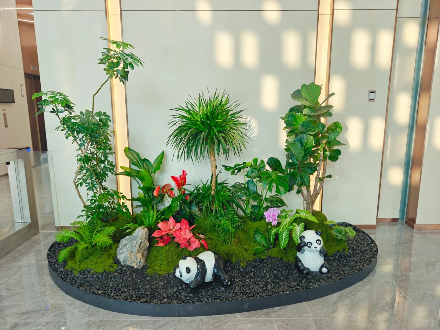 专业绿植出租，点亮慈溪每一处角落